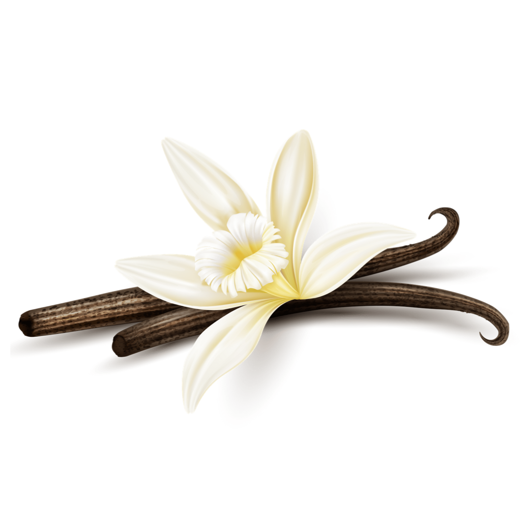 Fondant parfumé Vanille